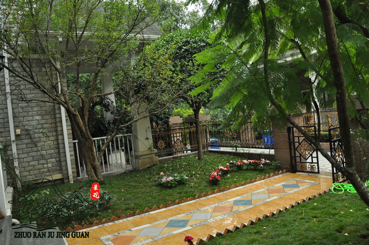 DSC_0531.jpg